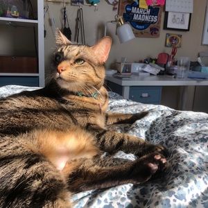 Meet your Posher, Sarah